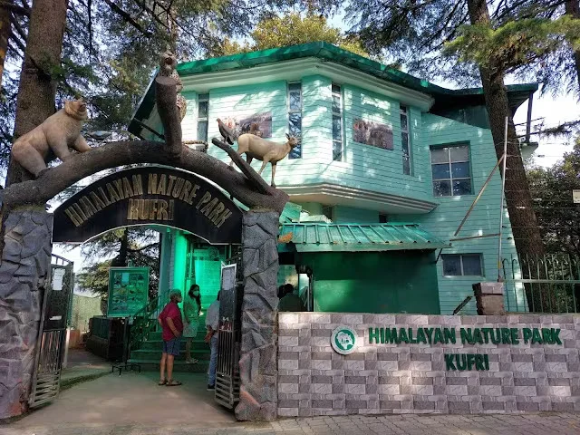 best hotel in Kufri Shimla